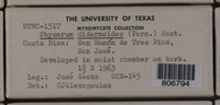 Image Associated With the Occurence